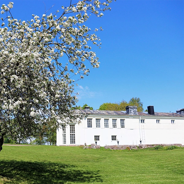 gamla appeltradet
