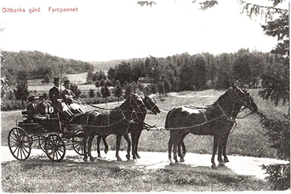 Oitbackan kartanon hevosia 1900-luvun alussa